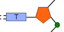 DNA, Protein Synthesis & Mutations